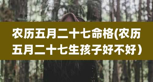 农历五月二十七命格(农历五月二十七生孩子好不好）
