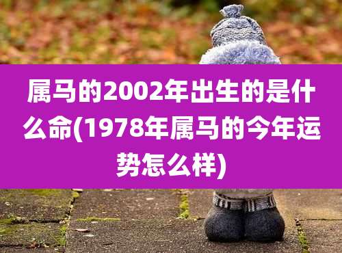 属马的2002年出生的是什么命(1978年属马的今年运势怎么样)