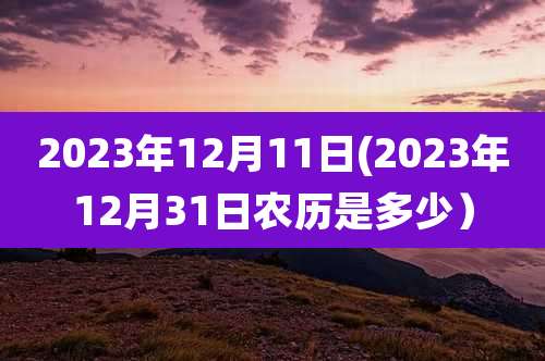2023年12月11日(2023年12月31日农历是多少）