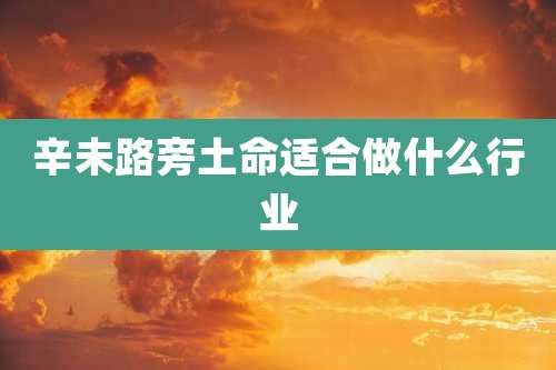 辛未路旁土命适合做什么行业