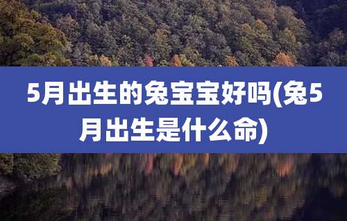 5月出生的兔宝宝好吗(兔5月出生是什么命)