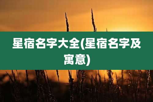 星宿名字大全(星宿名字及寓意)