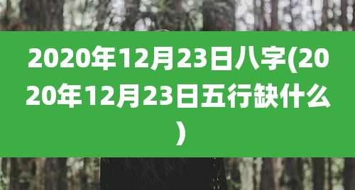 2020年12月23日八字(2020年12月23日五行缺什么)