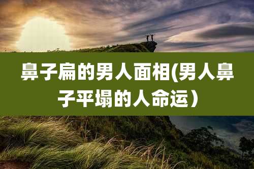 鼻子扁的男人面相(男人鼻子平塌的人命运）