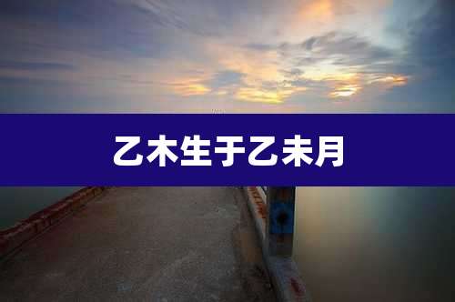 乙木生于乙未月