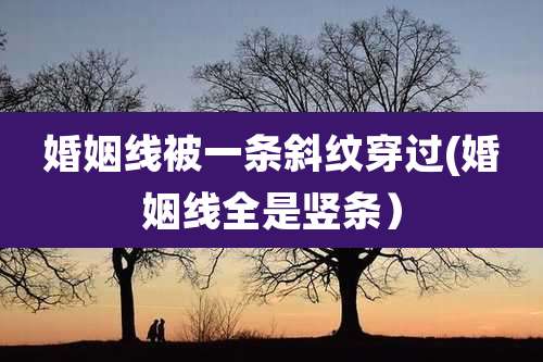 婚姻线被一条斜纹穿过(婚姻线全是竖条）