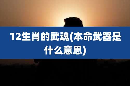 12生肖的武魂(本命武器是什么意思)