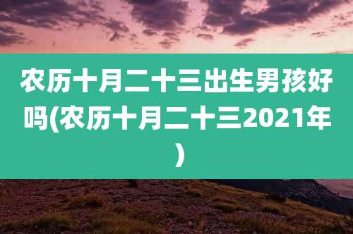 农历十月二十三出生男孩好吗(农历十月二十三2021年)