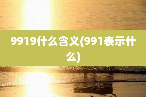 9919什么含义(991表示什么)