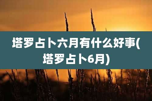 塔罗占卜六月有什么好事(塔罗占卜6月)