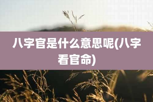 八字官是什么意思呢(八字看官命)