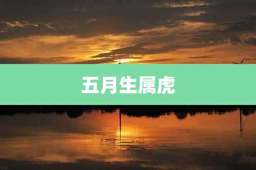 五月生属虎