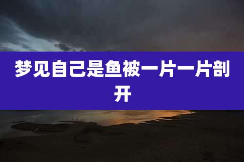 梦见自己是鱼被一片一片剖开