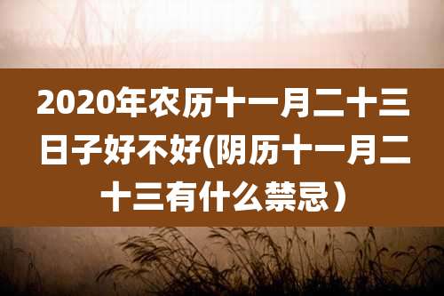 2020年农历十一月二十三日子好不好(阴历十一月二十三有什么禁忌)