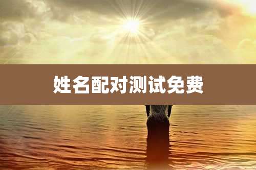 姓名配对测试免费