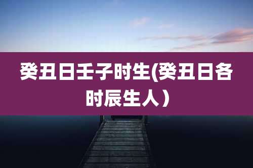癸丑日壬子时生(癸丑日各时辰生人）
