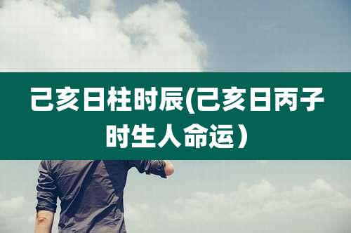 己亥日柱时辰(己亥日丙子时生人命运)