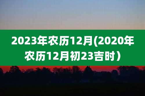 2023年农历12月(2020年农历12月初23吉时）