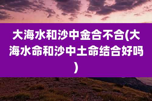 大海水和沙中金合不合(大海水命和沙中土命结合好吗)