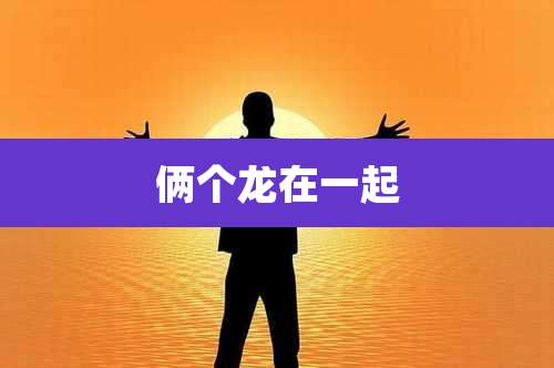 俩个龙在一起