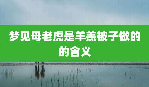 梦见母老虎是羊羔被子做的的含义