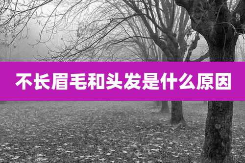 不长眉毛和头发是什么原因