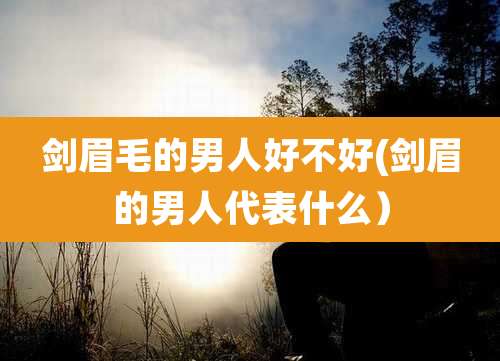 剑眉毛的男人好不好(剑眉的男人代表什么)