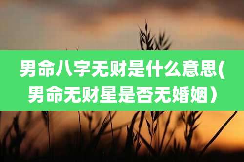 男命八字无财是什么意思(男命无财星是否无婚姻)