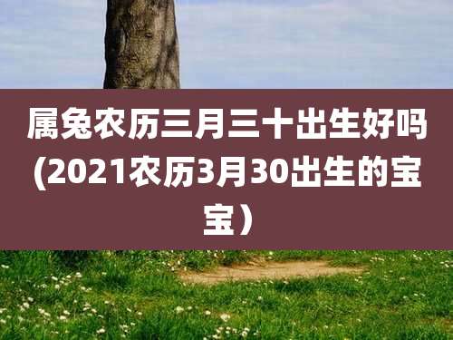 属兔农历三月三十出生好吗(2021农历3月30出生的宝宝）
