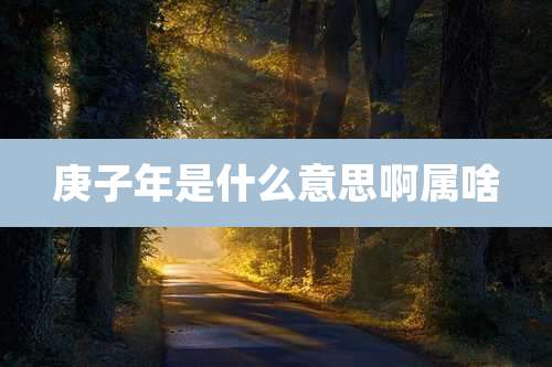 庚子年是什么意思啊属啥