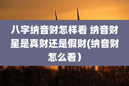 八字纳音财怎样看 纳音财星是真财还是假财(纳音财怎么看)