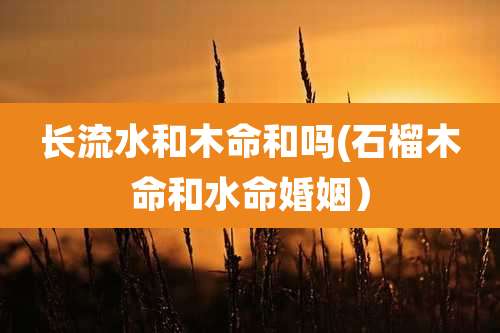 长流水和木命和吗(石榴木命和水命婚姻)