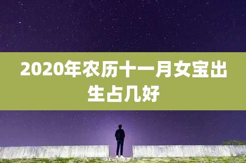 2020年农历十一月女宝出生占几好