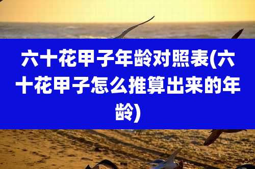六十花甲子年龄对照表(六十花甲子怎么推算出来的年龄)