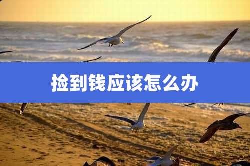 捡到钱应该怎么办