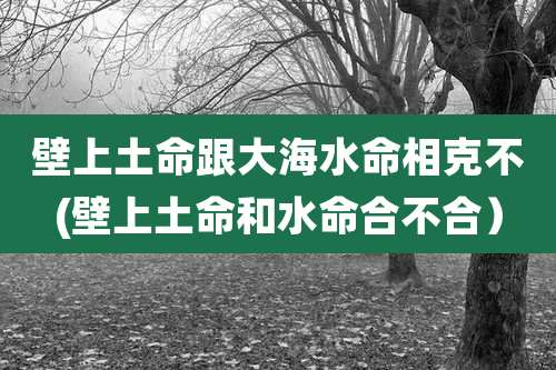 壁上土命跟大海水命相克不(壁上土命和水命合不合)