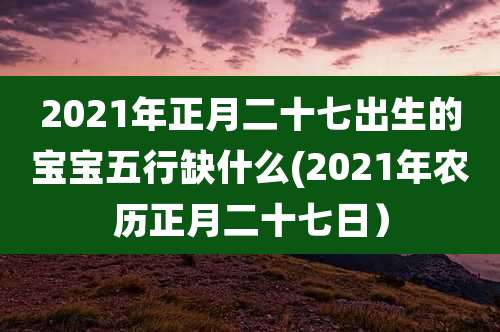 2021年正月二十七出生的宝宝五行缺什么(2021年农历正月二十七日）