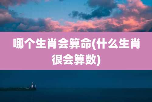 哪个生肖会算命(什么生肖很会算数)