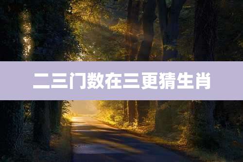 二三门数在三更猜生肖