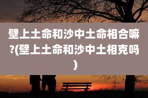 壁上土命和沙中土命相合嘛?(壁上土命和沙中土相克吗)