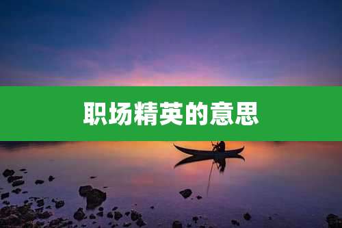 职场精英的意思