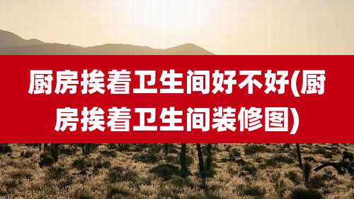 厨房挨着卫生间好不好(厨房挨着卫生间装修图)