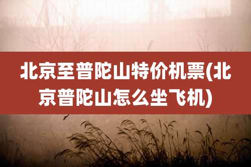 北京至普陀山特价机票(北京普陀山怎么坐飞机)