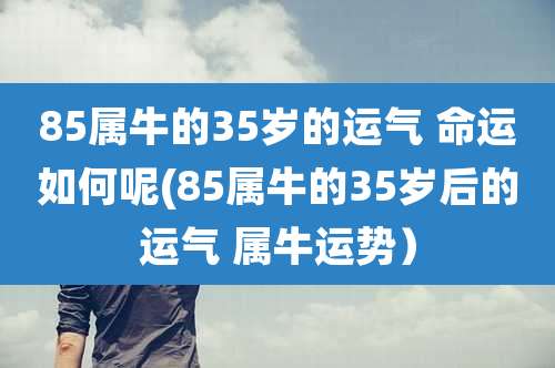 85属牛的35岁的运气 命运如何呢(85属牛的35岁后的运气 属牛运势）