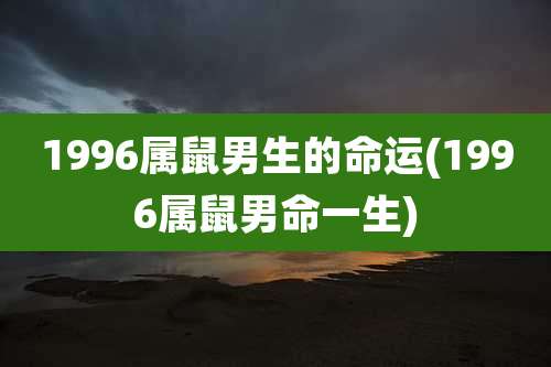 1996属鼠男生的命运(1996属鼠男命一生)