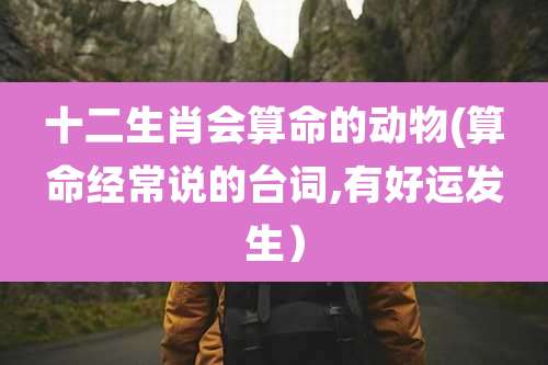 十二生肖会算命的动物(算命经常说的台词,有好运发生)