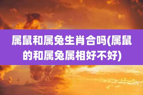 属鼠和属兔生肖合吗(属鼠的和属兔属相好不好)