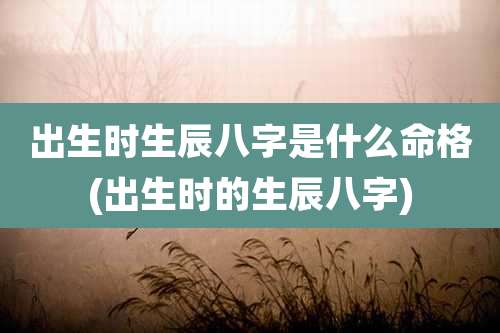 出生时生辰八字是什么命格(出生时的生辰八字)