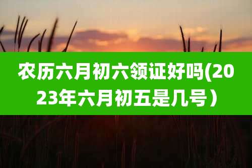 农历六月初六领证好吗(2023年六月初五是几号)