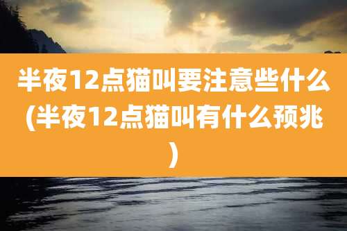 半夜12点猫叫要注意些什么(半夜12点猫叫有什么预兆)